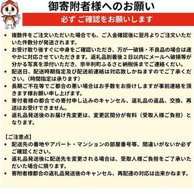 ふるさと納税 奈半利町 冷凍いちじく(約500g)　116021 |  | 03