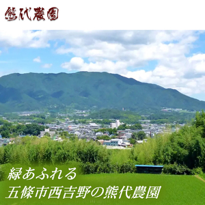 梅しそふりかけ（40g）×5袋 | 梅しそ ふりかけ 紫蘇 しそ シソ 果実 かじつ カジツ 梅 うめ ウメ 梅干し しそ漬け 熊代農園 | 奈良県 五條市