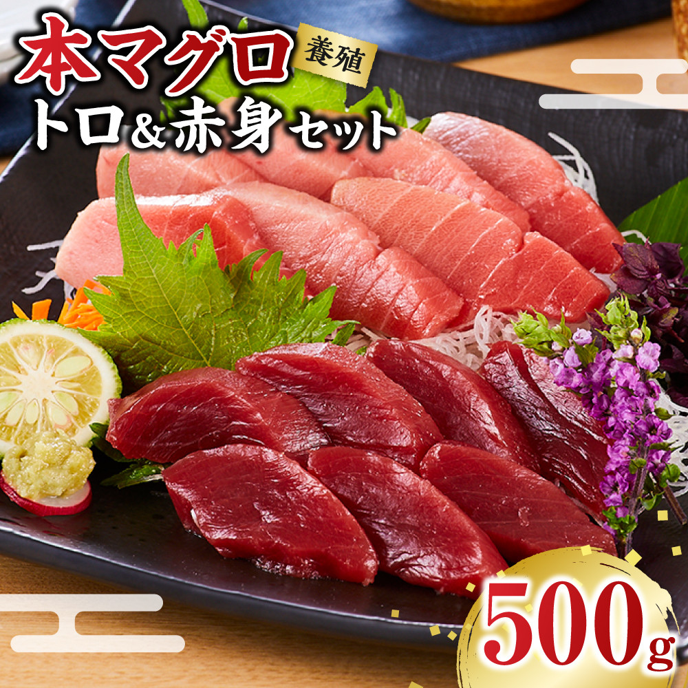 本マグロ（養殖）トロ＆赤身セット 500g［KS12］BA1002