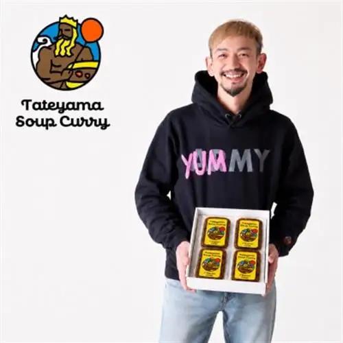 館山スープカレー冷凍パック チキン 甘口4食セット【配送不可地域：離島】【1449783】