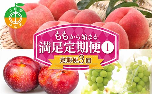 【定期便 3回】桃から始まる満足定期便(1) 桃 もも 白桃 すもも 秋姫 シャインマスカット 果物 フルーツ 山形県 中山町 F4A-0451