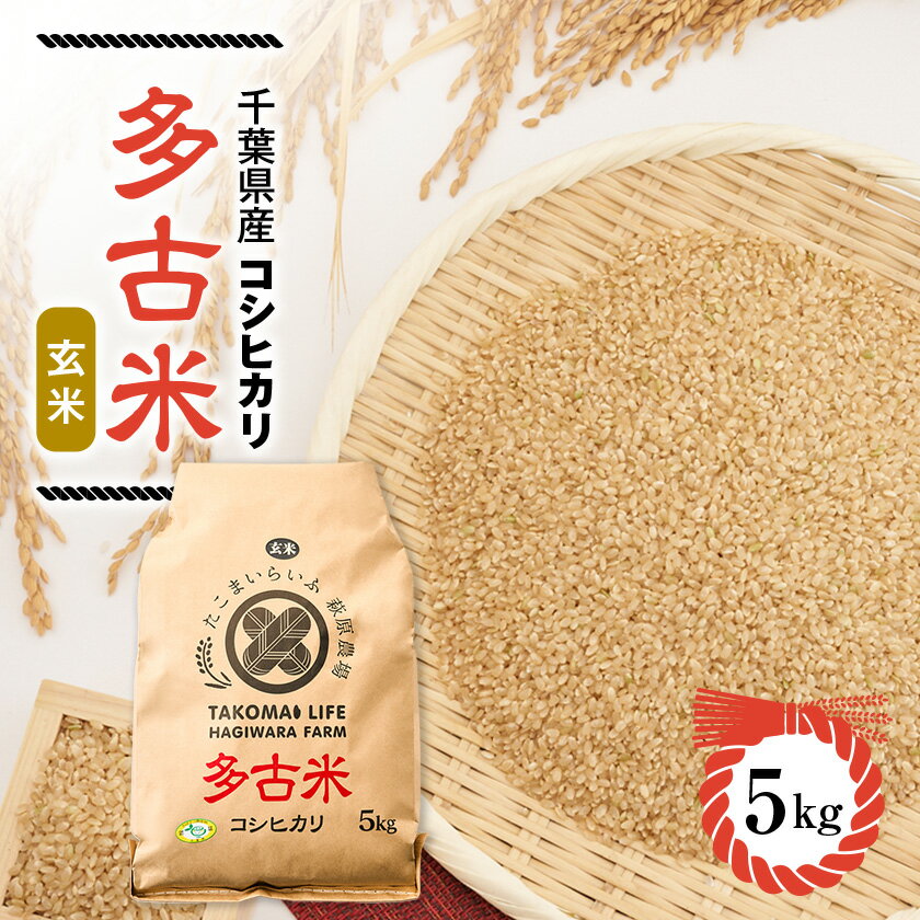 【ふるさと納税】新米【令和7年産】たこまいらいふ萩原農場の多古米コシヒカリ(玄米)5kg　【配送不可地域：離島・沖縄県】【1438049】