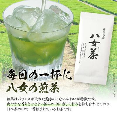 ふるさと納税 古賀市 福岡 八女茶 煎茶 600g(100g×6袋) |  | 02