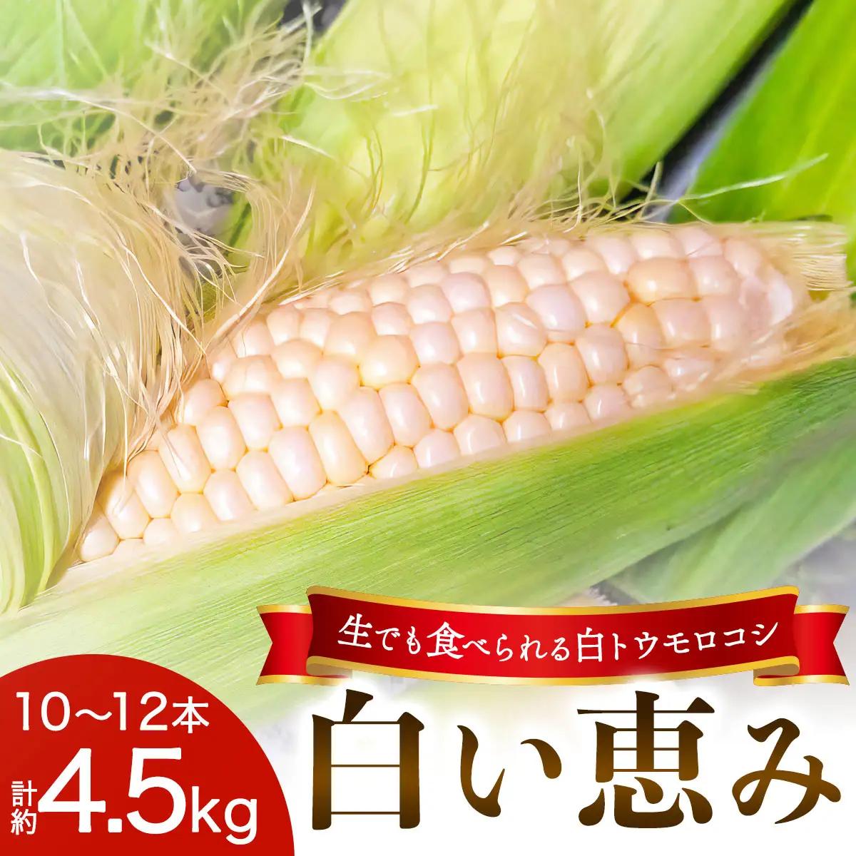 [先行予約] 生でも食べられる白いトウモロコシ「白い恵み」10本から12本／約4,5kg｜トウモロコシ 白トウモロコシ とうもろこし 白い恵み 野菜 フルーツ スイーツ 糖度 栃木県産 日光産 期間限定 数量限定 夏 風物詩 [0720]