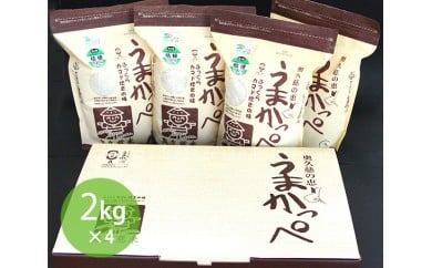 
奥久慈の恵 うまかっぺ米 お米 こしひかり コシヒカリ 安全 合計8.0Kg 茨城県 白米 お米 米 精米 ごはん ご飯 単一原料米 オリジナル米 コメ こめ ブランド米 食味 国産米 お取り寄せ お取り寄せグルメ コシヒカリ特Ａ産地
