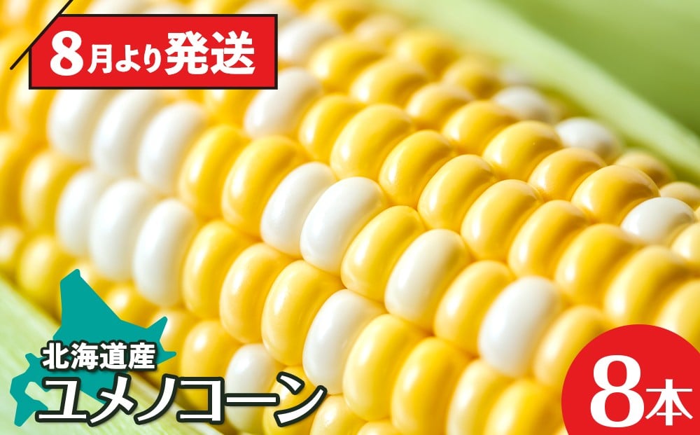 
            【8月中旬より発送】北海道産 甘い とうもろこし ユメノコーン ８本【橋本農園】
          