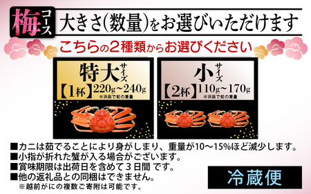 浜茹で 越前せいこがに≪梅セット≫1～2人前 かに酢 食べ方しおり スプーン付き【雌 ズワイガニ】【カニ 越前ガニ セコガニ カニみそ】【小サイズ：110～170g × 2杯（※茹で前重量）】【11月
