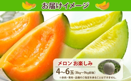 【2026年発送 先行予約】のざわ農園 日高 赤肉メロン 4～6玉 約8kg～9kg めろん メロン 赤い 甘い 夏 フルーツ 果実 ルピアレッド 糖度 甘み 濃厚 肥料 贈り物 お中元 お歳暮 常温
