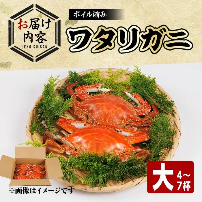 あおがざみ(計650g~700g・大サイズ) ワタリガニ　蟹 ボイル 海鮮 かに 冷凍 【101902000】【上野水産】