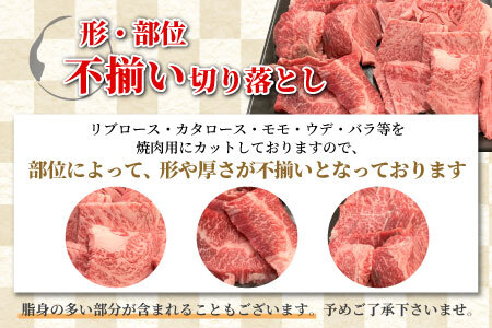 根羽こだわり和牛 焼肉切り落とし 600g リブロース カタロース モモ カタ バラ ウデ 焼肉用