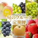 【ふるさと納税】フルーツ 定期便 2024年 先行予約 晴れの国 岡山の フルーツ 定期便 6回 桃 ぶどう 梨 いちご 岡山県産 国産 フルーツ 果物 ギフト　【定期便・ 白桃 ぶどう シャインマスカット いちご 梨 ピオーネ 】　お届け：2024年7月上旬～2025年3月上旬