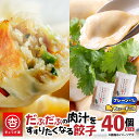 【ふるさと納税】 だぶだぶの肉汁をすすりたくなる餃子 と 餃子ちぃーず セット 40個 餃子 ギョーザ チーズ にんにく にら なし 惣菜 豚 肉 だぶだぶ餃子 冷凍 もちもち 山椒 焼き餃子 水餃子 ボリューム ぎょうざ屋 杏 北海道 苫小牧市 おすすめ ランキング プレゼント