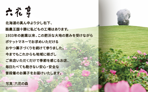 六花亭六花セレクションC 5セット(1セット:マルセイバターサンド20個+マルセイバターケーキ5個)【1784609】