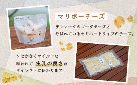 竹下牧場 takeshita farm【9ヶ月配送】マリボーチーズセット 計510g