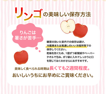 【8月末迄の申込み】 りんご 定期便 大文字りんご園 季節の りんご づくし 定期便 紅いわて サン北斗 大夢 サンふじ ※離島配送不可 / りんご リンゴ りんご リンゴ りんご リンゴ りんご リ