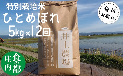 食の都庄内　【定期便12回】井上農場の特別栽培米ひとめぼれ5kg×12回 [NY2-125(産直出前便)]