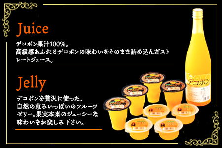 デコポンゼリー＆ジュースセット《60日以内に出荷予定(土日祝除く)》熊本県 葦北郡 津奈木町 あしきた農業協同組合 JAあしきた 柑橘 デコポン ジュース ゼリー セット ギフト 包装 送料無料