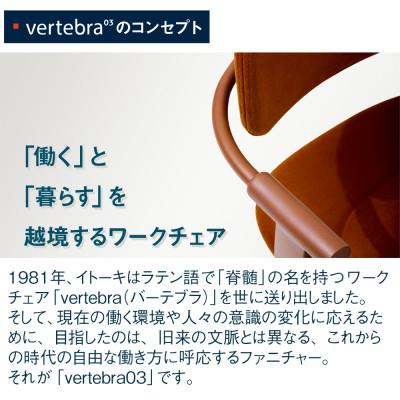 ふるさと納税 近江八幡市 イトーキ『バーテブラ03』5本脚 フレーム:ブラック  CD張地:エクリュベージュ |  | 02