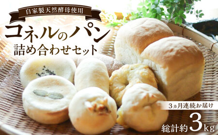 【全3回定期便】自家製天然酵母パンの詰め合わせセット 計約3kg（約1kg×3回） / パン パン パン パン パン パン パン / 佐賀県 / パンと器のコネル [41AJAB007]