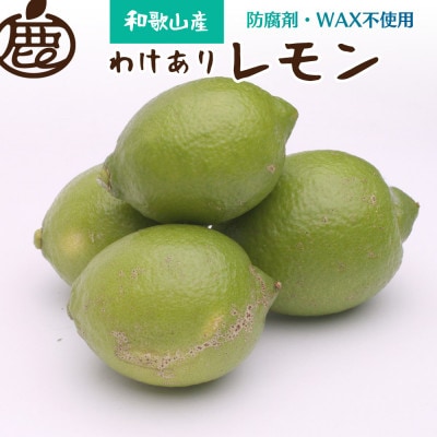 家庭用 黒潮レモン4kg+120g(傷み補償分)【和歌山有田産】【防腐剤・WAX不使用】【訳あり】【配送不可地域：離島・北海道・沖縄県】