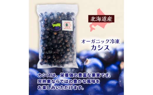 有機JAS認証北海道帯広産 冷凍カシス 3.5kg(500g×7袋)【1746268】