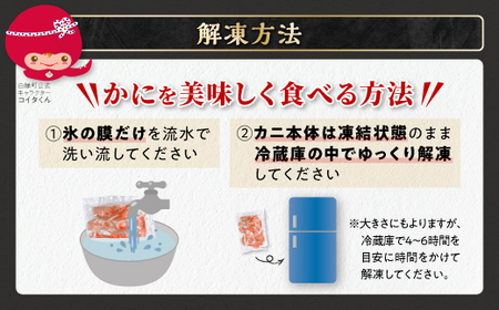 訳あり ズワイガニ 爪肉 500g_I009-1317