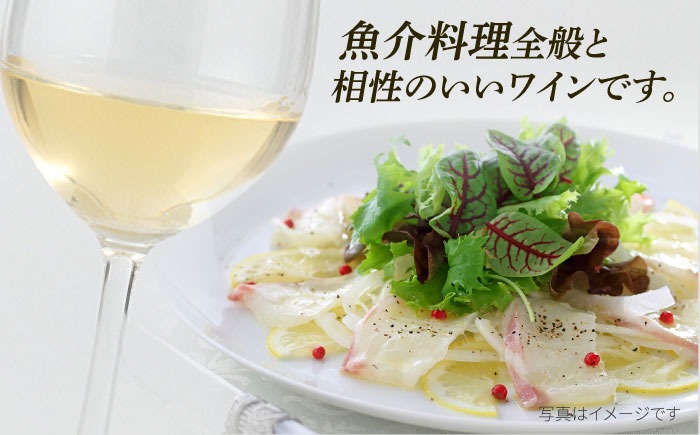 【糸島マスエワイナリ】STILL 白 Koshu Muscut 2本 糸島市 / いとしのいとしま[AEP002]