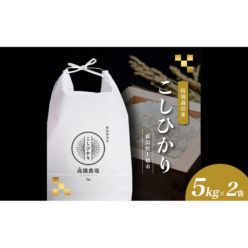 【新潟県上越市産】特別栽培米 コシヒカリ 令和7年産 10kg（5kg×2袋）ご飯 おにぎり