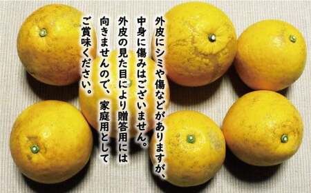 訳あり 河内晩柑 8kg 7000円 みかん かわちばんかん 愛南ゴールド あいなん ゴールド 美生柑 文旦 グレープフルーツ 和製 家庭用 産地直送 国産 農家直送 期間限定 数量限定 ビタミン 特