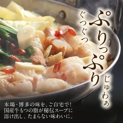 Z86-17 博多特選もつ鍋（2.5人前)（醤油味） もつ鍋