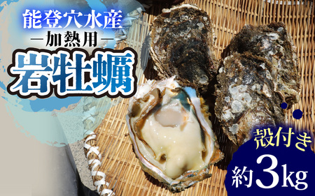 奥能登 松村水産の岩牡蠣 約3kg【殻付き・加熱用】/ 岩牡蠣