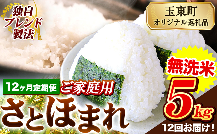 【12ヶ月定期便】熊本県産 さとほまれ 無洗米 ご家庭用 定期便 5kg 《お申込み翌月から出荷》熊本県 玉名郡 玉東町 米 こめ コメ ブレンド米 送料無料---gkt_lcl_458_mo12---