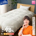 【ふるさと納税】 羽毛布団 掛け布団 本掛け アイダーダウン シルクジャガード 選べるサイズ シングル セミダブル ダブル クイーン キング 日本製 シルク100％ アイボリー 手選別 アイダーダウン98% 厚手タイプ 布団 ふとん 寝具 国産 ベッド 暖かい 【甲州羽毛ふとん】