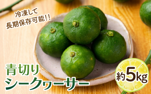 【TVで話題！】【先行予約】 青切り シークワーサー 約5kg＜広津農園＞ [CBN015] ノビレチン 原液 効能 レシピ ジュース 通販 旬 青切り レモン 柑橘