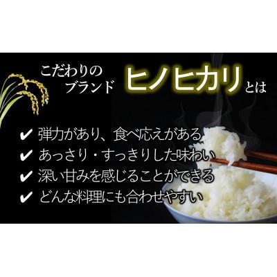 ふるさと納税 西脇市 兵庫県産・令和7年産【ヒノヒカリ】白米　20kg(5kg×4) |  | 02