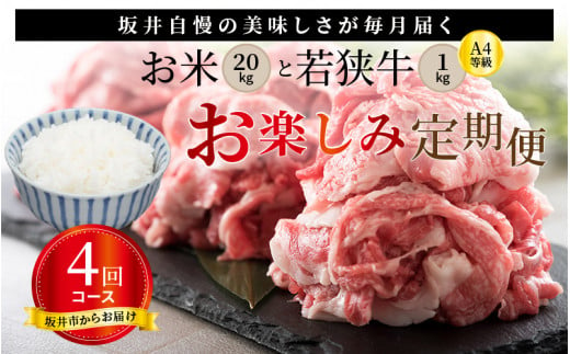 
            【定期便 4回コース】 坂井市産コシヒカリ 計20kg ＋ 若狭牛切り落とし 計1kg [E-3215]
          