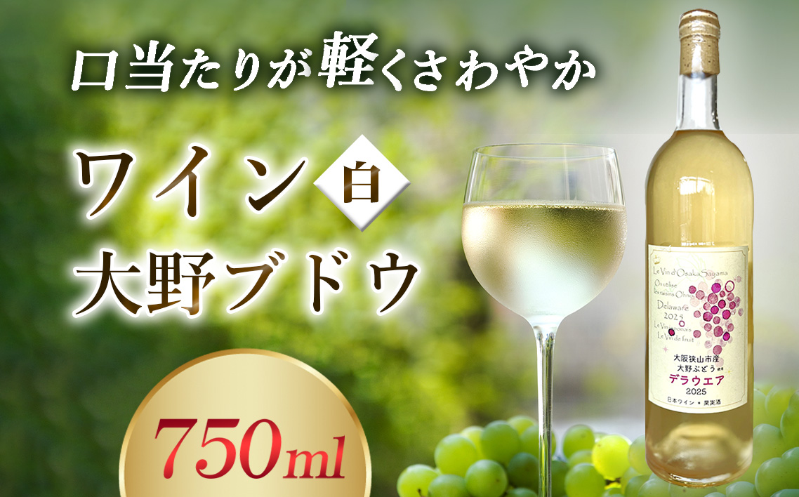 ワイン 【大野ぶどう】 ／ 白ワイン 国産ワイン デラウエアワイン 日本ワイン 甘口ワイン フルーティーワイン 軽やかな白ワイン 飲みやすいワイン さわやかなワイン 食事に合うワイン 家飲みワイン ワインギフト 国産ぶどうワイン デラウェア 白ワイン ボトル 大阪府 No.370