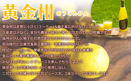 ＜黄金柑ジュース 720ｍ×2本セット＞ 果汁100％ ストレート ジュース おうごんかん 柑橘 ミカン 蜜柑 みかん オレンジ 果物 フルーツ 飲料 無添加 ギフト 贈り物 特産品 二ノ宮商事株式会