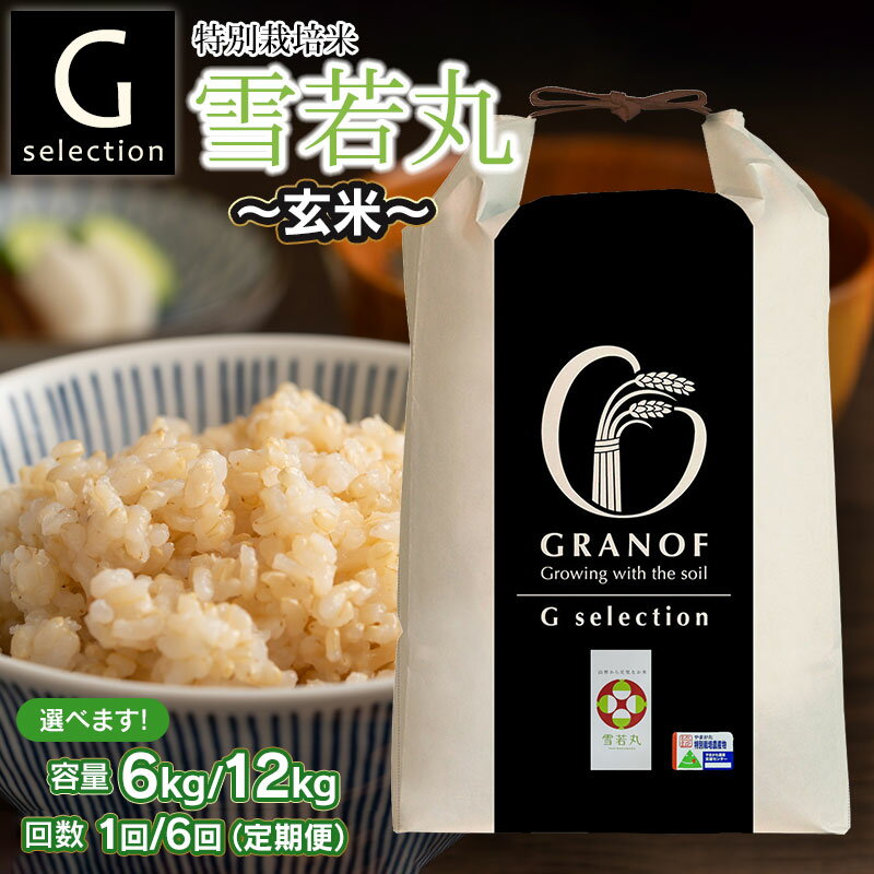 【ふるさと納税】【令和7年産先行予約】Gセレクション 特別栽培米 雪若丸【玄米】 山形県鶴岡産 容量（6kg・12kg）と発送回数（1回・6回）選べる　6ヶ月定期便（毎月1回中旬発送）