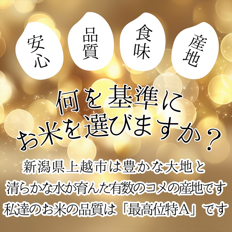 令和8年産 新米 先行予約 新潟県産 コシヒカリ 10kg 最高品質のお米を追求し続ける 篠宮農場 上越市 精米
