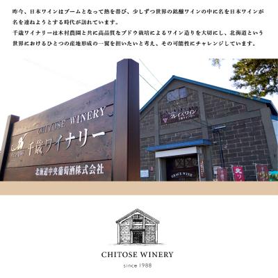 ふるさと納税 千歳市 千歳ワイナリー ハスカップスイート360ml×12本 |  | 02