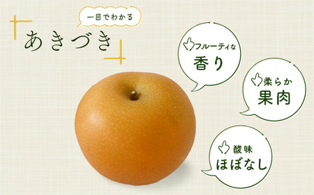 【先行予約 数量限定】梨 あきづき 約3kg 5玉～8玉 | 梨 梨 梨 梨 梨