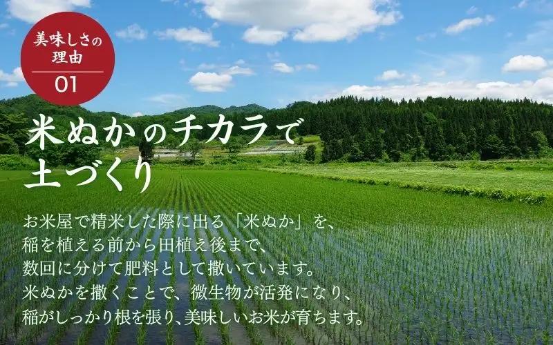 ＜全3回定期便＞ 真庭市産コシヒカリ 米ぬか 牡蠣栽培米 『 一心良米 』 無洗米 5kg×3回 【令和7年産】 / お米 いっしんりょうまい 岡山県 こしひかり 人気 ブランド 2025年産 【tk