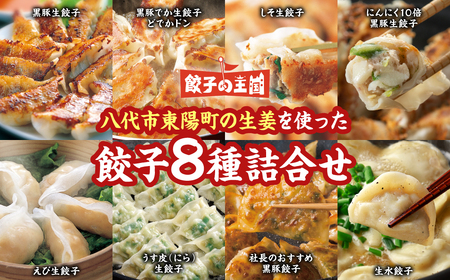 【ふるなび限定】 ＼高評価★4.9／ 八代市東陽町の生姜を使った 餃子の王国 餃子 8種詰合せ 生餃子 FN-Limited