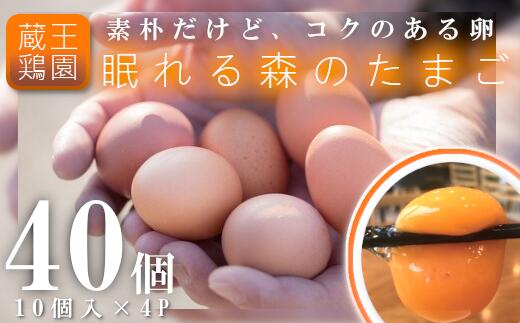 朝採れ「眠れる森のたまご」40個セット　