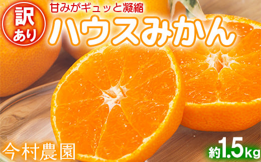 
            【訳あり・優品】今村農園のハウスみかん 約1.5kg みかん 柑橘 1.5kg わけあり 先行予約 7月 8月 フルーツ ＜107-002_7＞
          