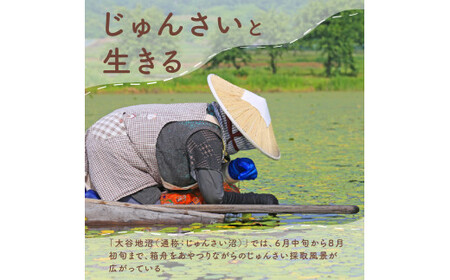 天然じゅんさい 水煮瓶詰め 200g 3本セット 令和7年産 2025年産  js-jsnbx3 ※沖縄・離島への配送不可