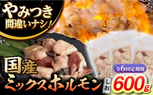 【6回定期便】【長崎和牛】ミックスホルモン（塩） 毎月200g×3袋 計3.6kg 長与町/なかみ屋本舗 [EAD100] 国産 長崎和牛 和牛 ホルモン レバー ホルモンミックス 牛肉 ほるもん 冷凍 小分け 真空パック 塩 味付き 味付け 焼肉 焼き肉 おつまみ 定期 定期便