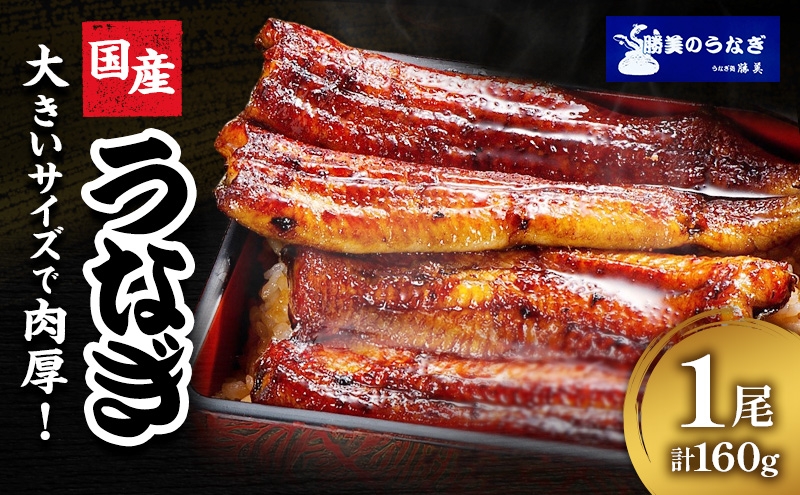 
                  国産 うなぎ 蒲焼 1尾 (約160g×1尾 タレ75ml×1 山椒付) 鰻 国産 浜松うなぎ 浜名湖うなぎ 蒲焼き プレゼント 贈答 浜名湖 産地直送 冷凍 冷凍配送 静岡 浜松市 [№5360-1477]
                