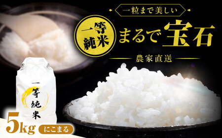 一等純米 にこまる 5kg / 米 お米 精米 白米 一等米 愛知県産 国産米 / 稲沢市 / 有限会社ハシモト耕販 [BMBP001-05]